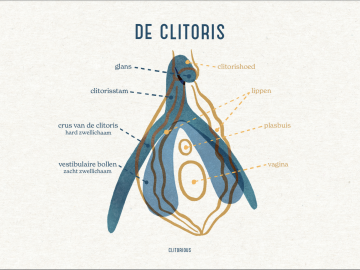 Ansichtkaart 'de clitoris'